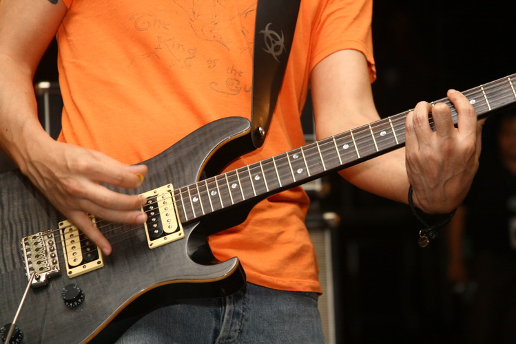 Guitarist